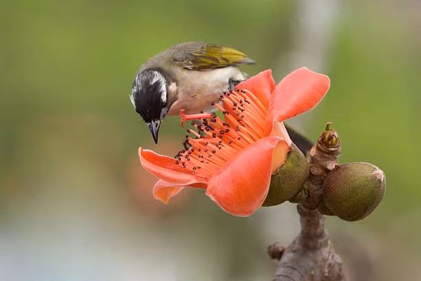 Ai sinh ngay Am lich nay huong phuoc loc, thuong Tet cao ngat