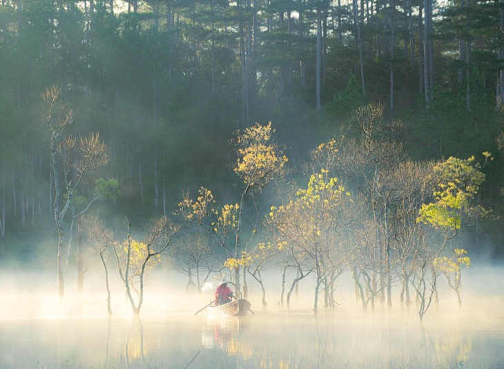 Dep ma mi suoi Tia - Da Lat-Hinh-2