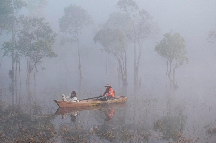 Dep ma mi suoi Tia - Da Lat-Hinh-3