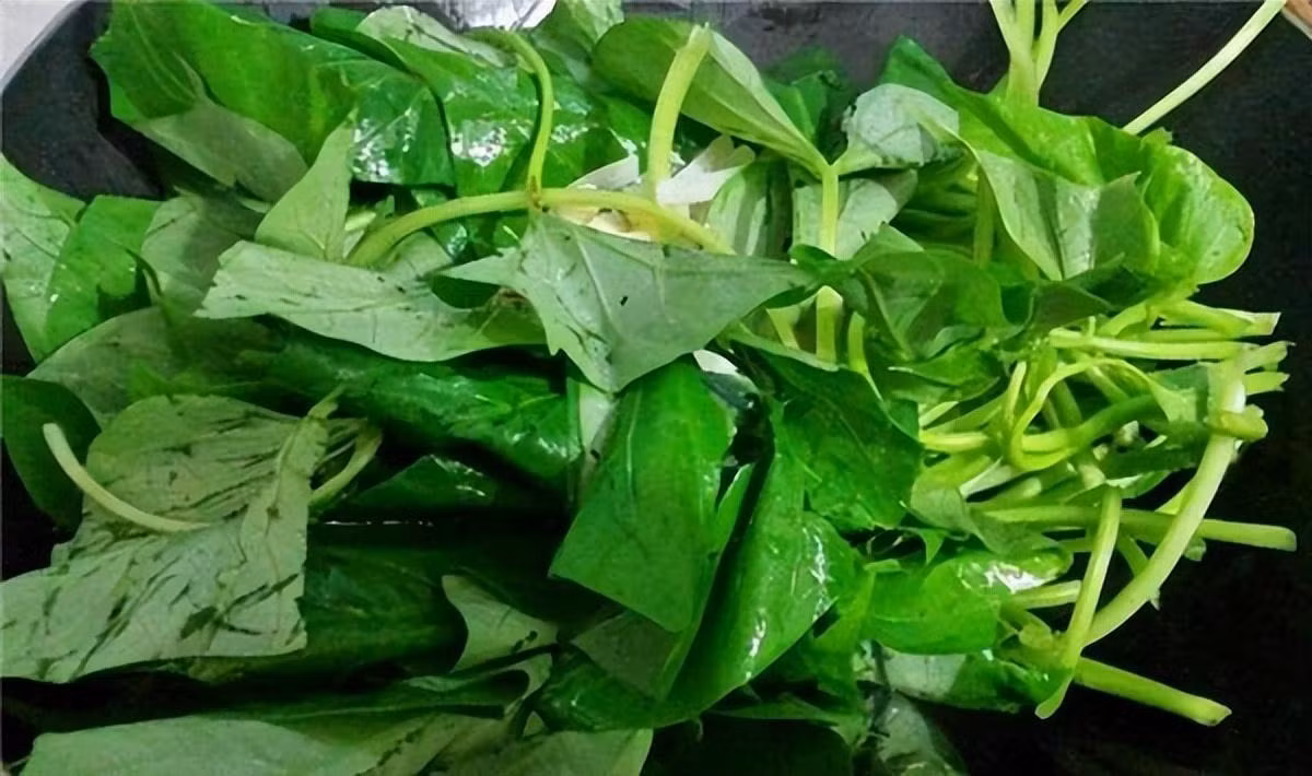 Loai rau bo duong hon bi ngo, kiem soat duong, lam banh cuc ngon-Hinh-4