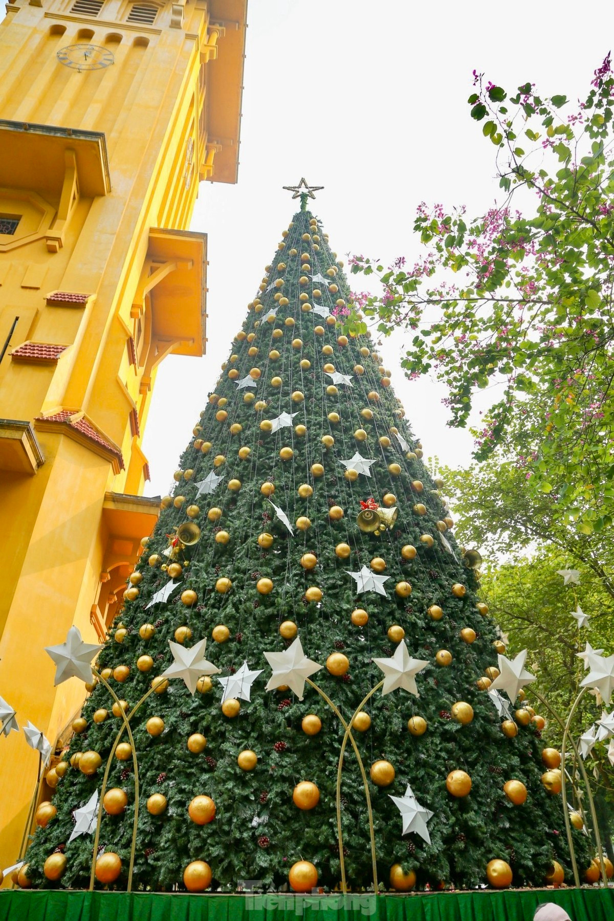 Khung canh Giang sinh som lung linh o Nha tho Lon-Hinh-16