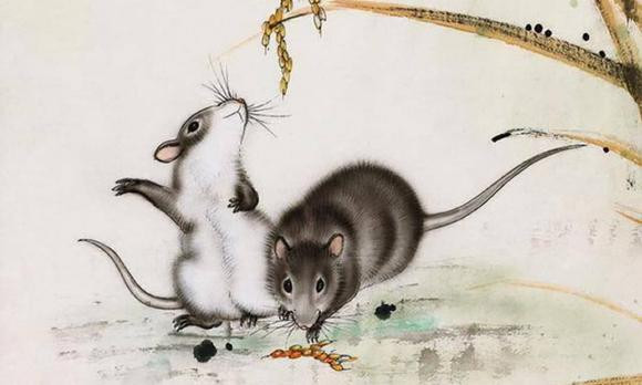 Tuan toi, ba con giap se thang tien ruc ro tren moi neo duong