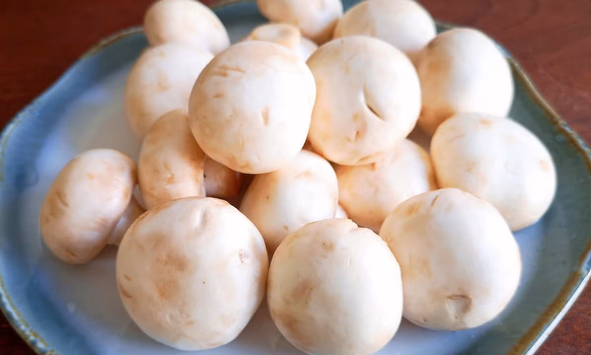 Loai rau ngon hon thit bo, bo hon thit cuu, sieu protein