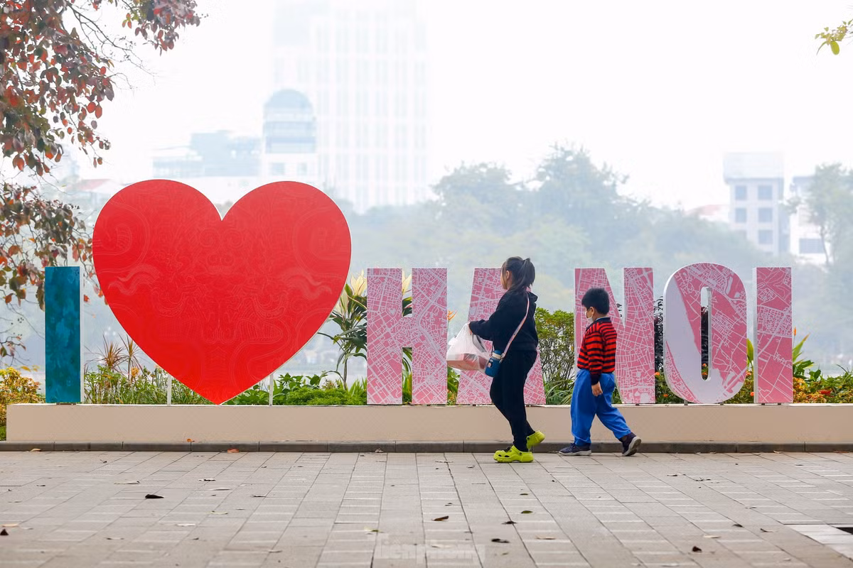 Tham hoa quan trung tam Thu do ruc ro don Tet Duong lich 2024-Hinh-2