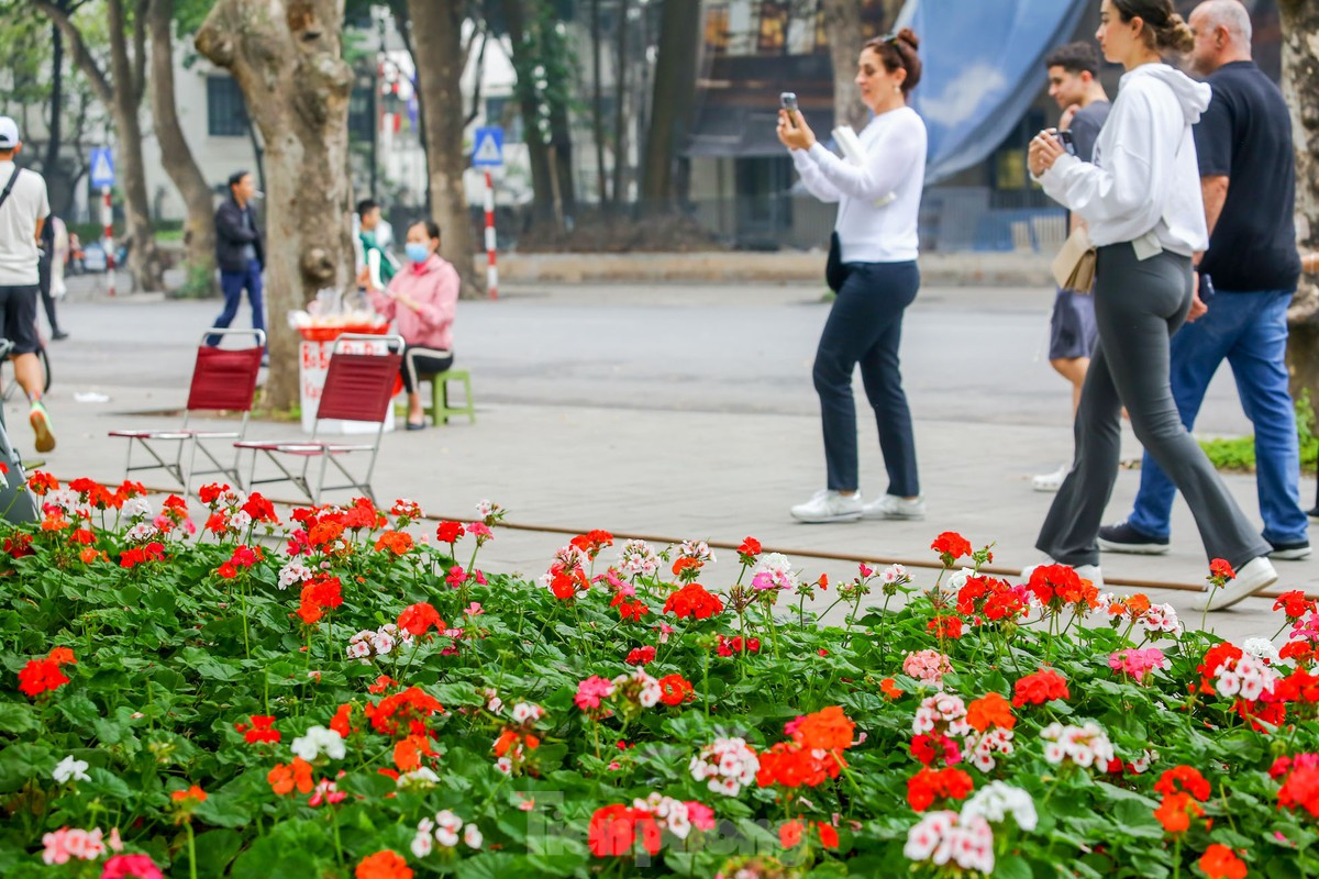 br/> Thảm hoa thu hút người dân và cả du khách nước ngoài.