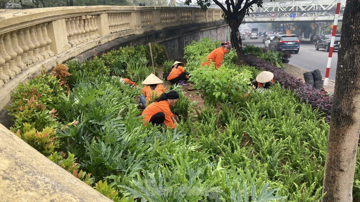 Khu vực bồn hoa tại chân đường dẫn lên cầu Long Biên, gần nút giao Hàng Đậu được thay thảm cây đẹp đón năm mới 2024.