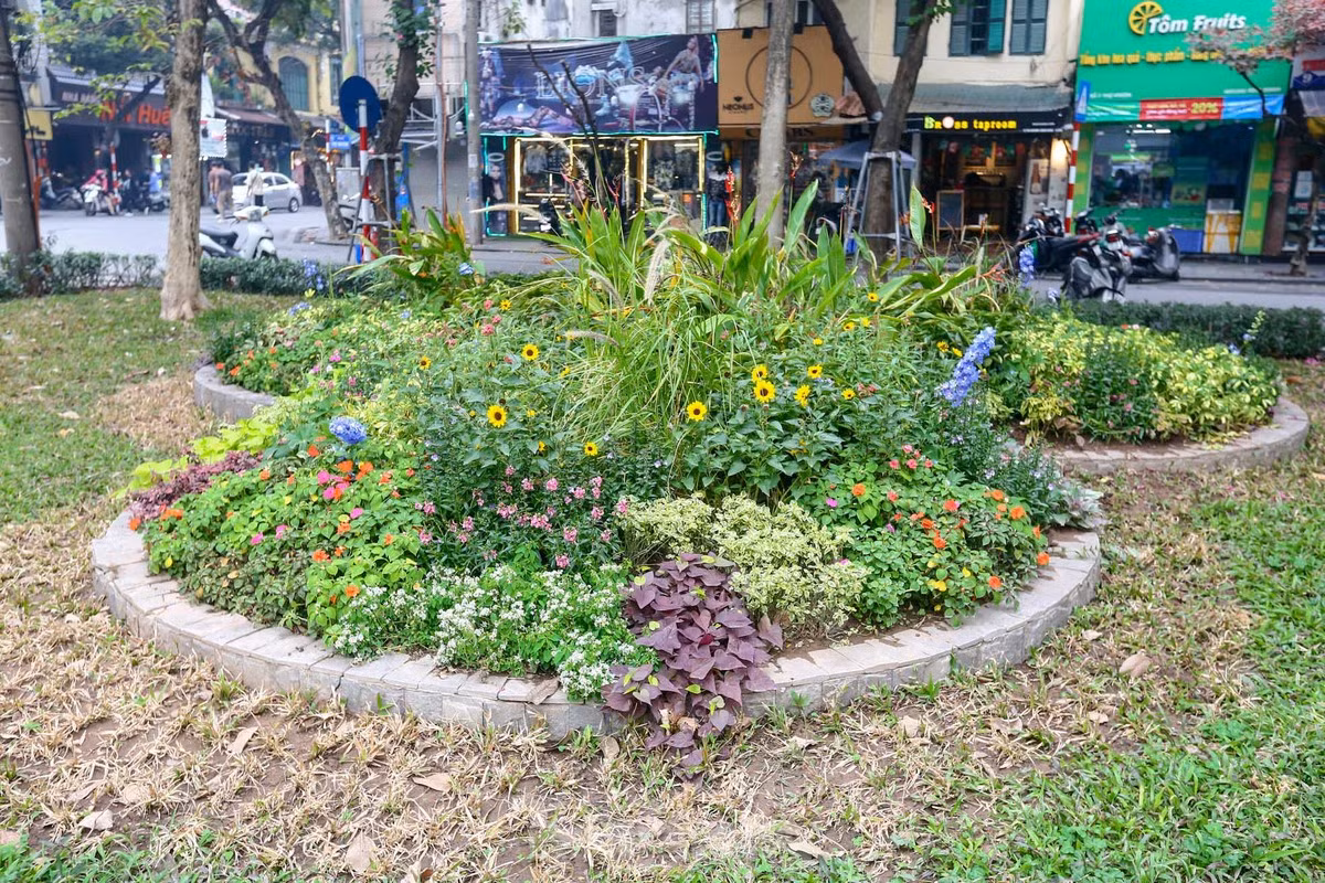 br/> Vườn hoa Cửa Nam nằm ngay ngã tư Thợ Nhuộm, Hàng Bông được chỉnh trang, cải tạo đón năm mới 2024.