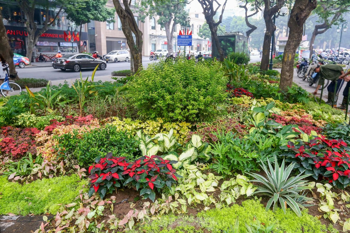 br/> Khu vực bồn hoa được trồng đa dạng các loài mang đến nhiều màu sắc rực rỡ.