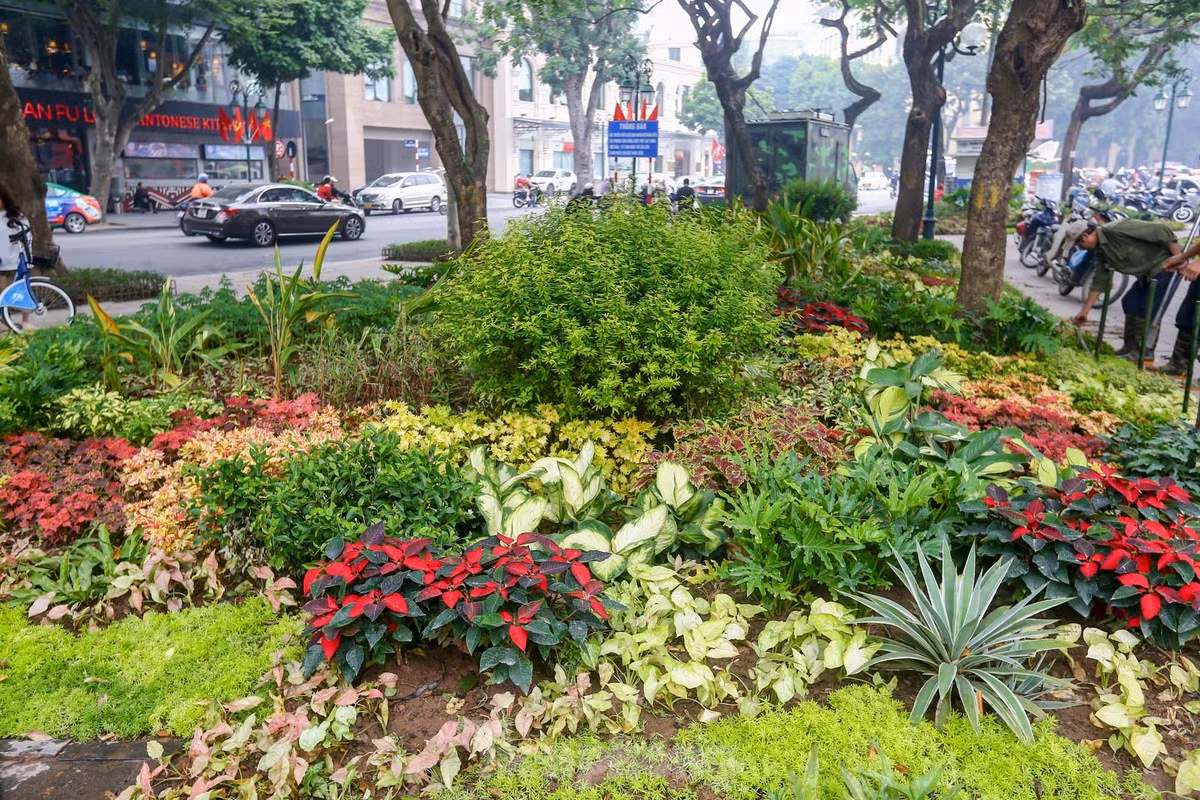 br/> Khu vực bồn hoa được trồng đa dạng các loài mang đến nhiều màu sắc rực rỡ.