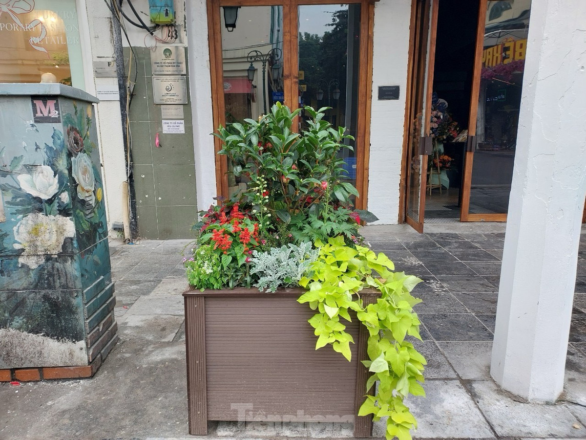Những bồn hoa trên vỉa hè phố Tràng Tiền, phố Nguyễn Xí được thay mới với sắc màu rực rỡ.