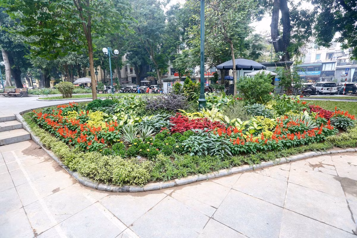 Bên cạnh vườn hồng là những thảm hoa rực rỡ bên trong vườn hoa.