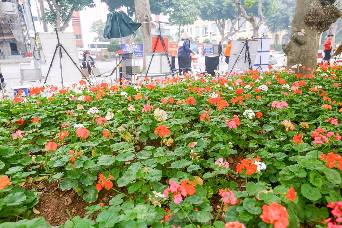 br/> Những bồn hoa ở đây được trồng với nhiều loại như hoa hồng, thược dược, đồng tiền, cúc Nam Phi, cúc thân gỗ, cúc lá nho, violet, cúc đại đóa...