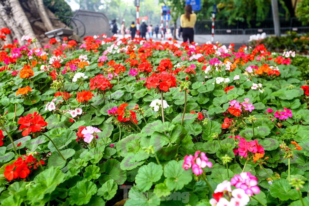 br/> Mảng màu đơn điệu được thay bằng khu vực đa sắc màu.