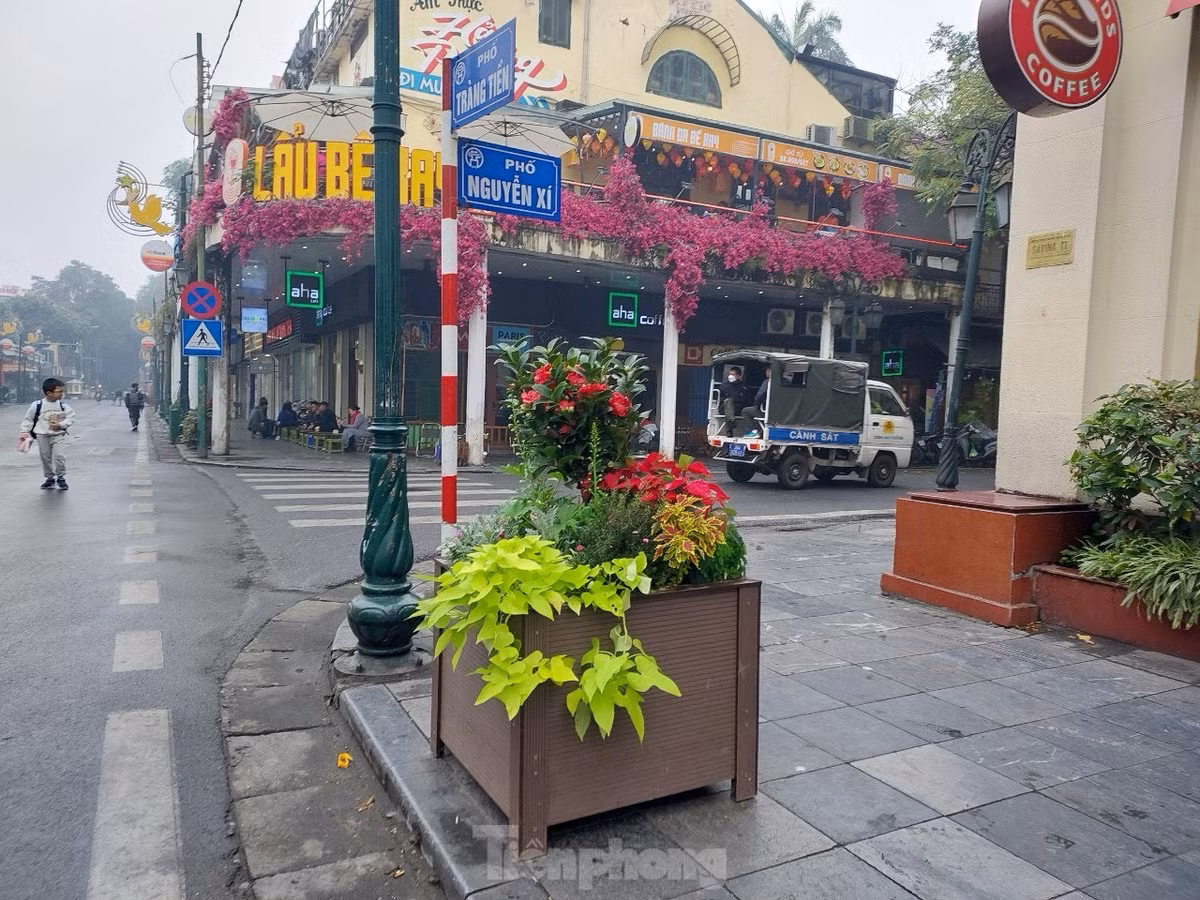 Những bồn hoa được đặt ngay cạnh ngã tư, tại các cột đèn.