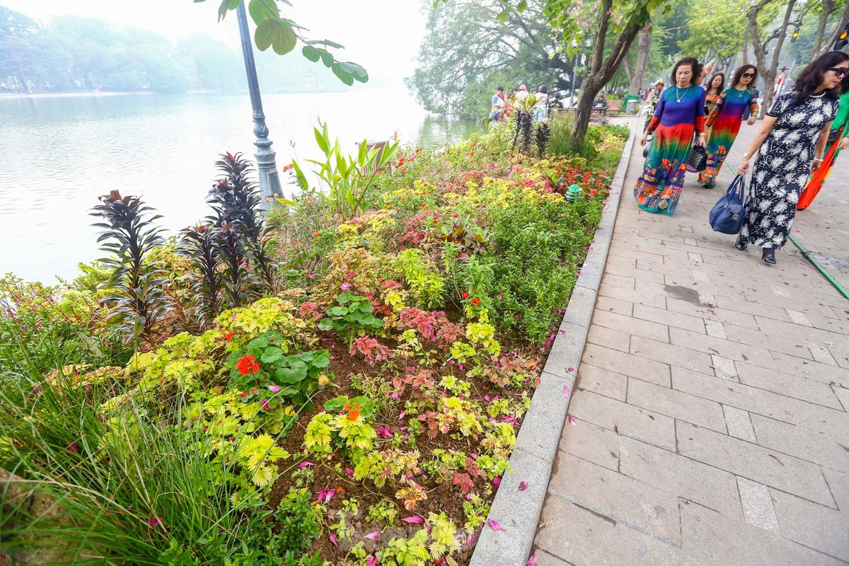 br/> Các bồn hoa xung quanh hồ Hoàn Kiếm được "thay áo" rực rỡ đón năm mới.