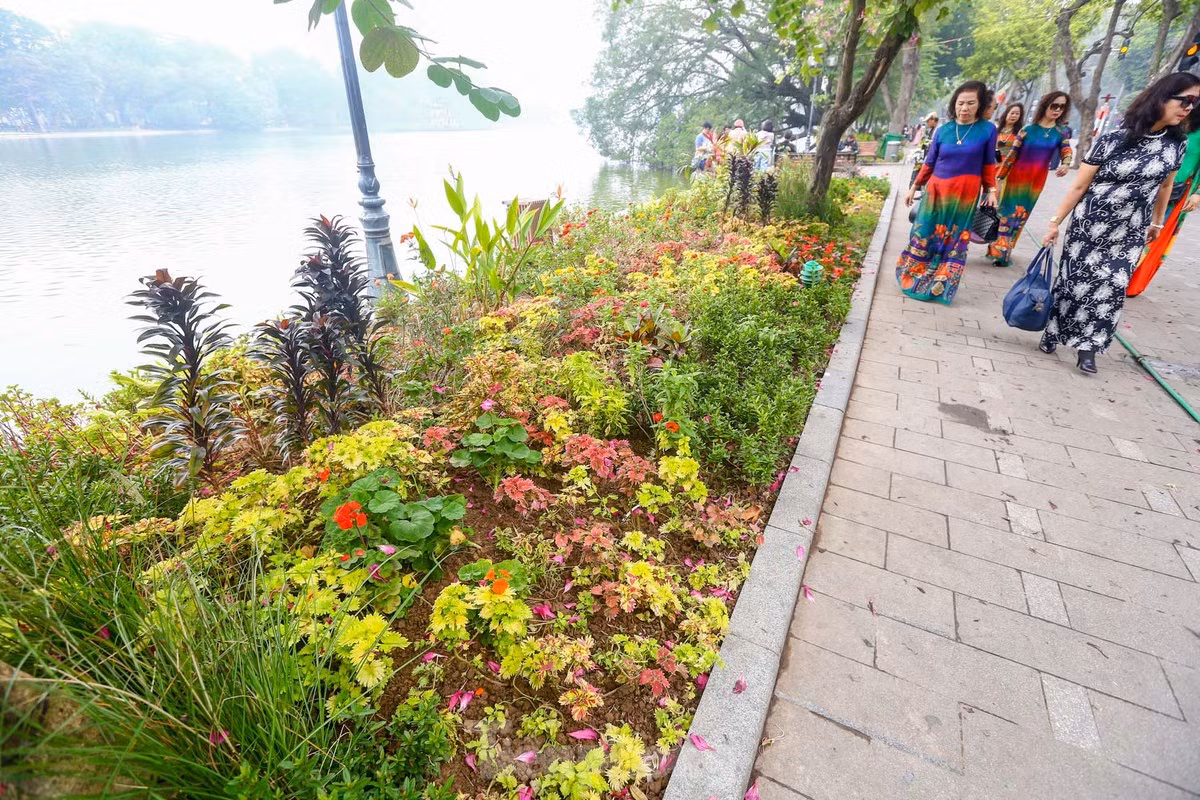 br/> Các bồn hoa xung quanh hồ Hoàn Kiếm được "thay áo" rực rỡ đón năm mới.