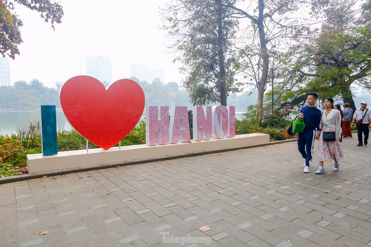 Tham hoa quan trung tam Thu do ruc ro don Tet Duong lich 2024