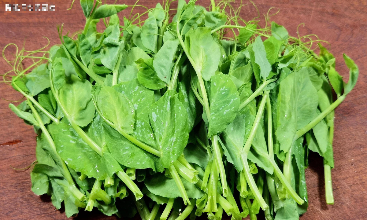 Loai rau tuoi ngon, an nhieu tang cuong mien dich