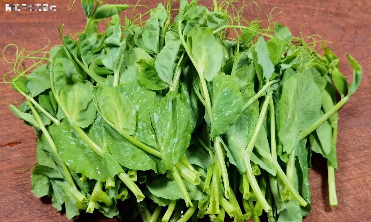 Loai rau tuoi ngon, an nhieu tang cuong mien dich