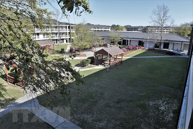 Can cu khong quan My “toan loan” vi lo so danh bom