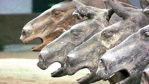 Theo sách sử Trung Quốc, Tần Thủy Hoàng sinh năm 259 trước CN, là con đầu của vua nước Tần, một trong 6 tiểu quốc thời Trung Quốc cổ đại. Các nước nhỏ này đã hỗn chiến với nhau trong hơn 200 năm, sau đó Tần Thủy Hoàng đã chinh phục tất cả và thống nhất thành một nước Trung Quốc duy nhất, tự xưng là hoàng đế.