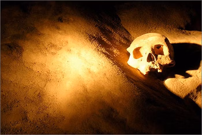 Đáng ngạc nhiên, đó là một cô gái rất đẹp, có cơ thể khỏe mạnh, cân đối, cao ráo. Những trang sức và đặc điểm bộ xương cho biết cô gái này thuộc tầng lớp quý tộc.