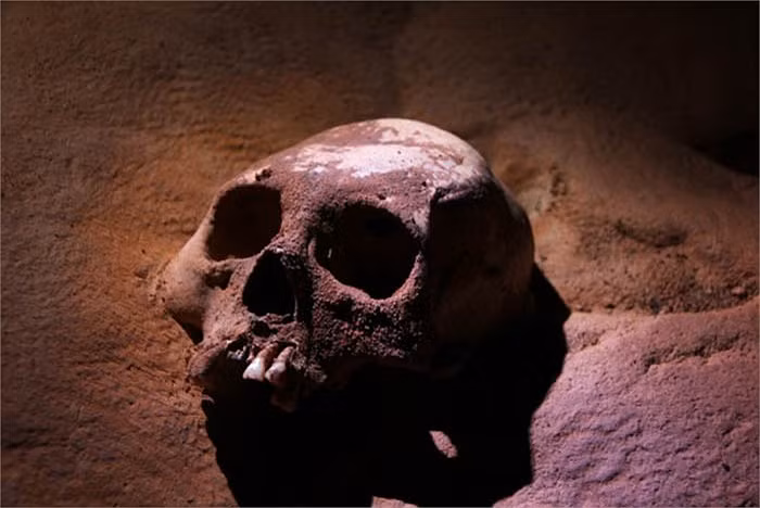 Các nhà khoa học cũng tìm được nhiều chứng cứ cho thấy có sự hiện diện của lương thực, hoa quả, món ăn dâng lên cho các vị thần với hy vọng được các vị thần che chở.