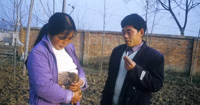 Nhiều người cho rằng việc giữ, coi khỉ như một công cụ kiếm tiền chẳng khác nào một "tội ác". Tuy nhiên, nhìn vào cách Huang Aiqing và gia đình ông chăm sóc những chú khỉ, có lẽ nhiều người sẽ nghĩ khác. Ảnh: Vợ của Huang Aiqing đang cho khỉ... bú sữa của mình.