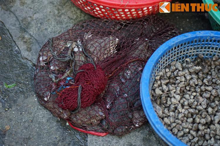 Các mặt hàng buôn bán ở chợ Thanh Hà khá phong phú, trong đó thực phẩm tươi sống là nhiều nhất. Thực phẩm ở chợ Thanh Hà được giới nội trợ đánh giá là thuộc hàng tươi ngon nhất Hà Nội.