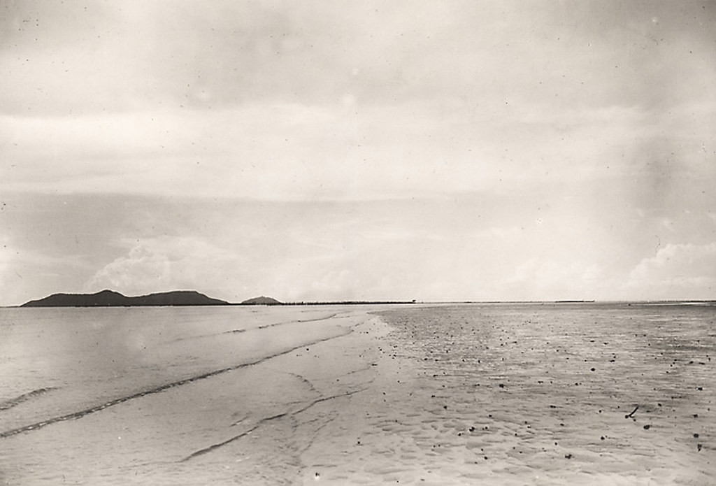 Khung cảnh hoang sơ ở Cần Giờ.