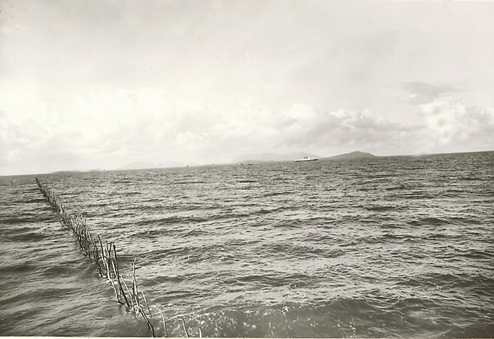 Dãy rào bằng gỗ cắt ngang mặt biển.