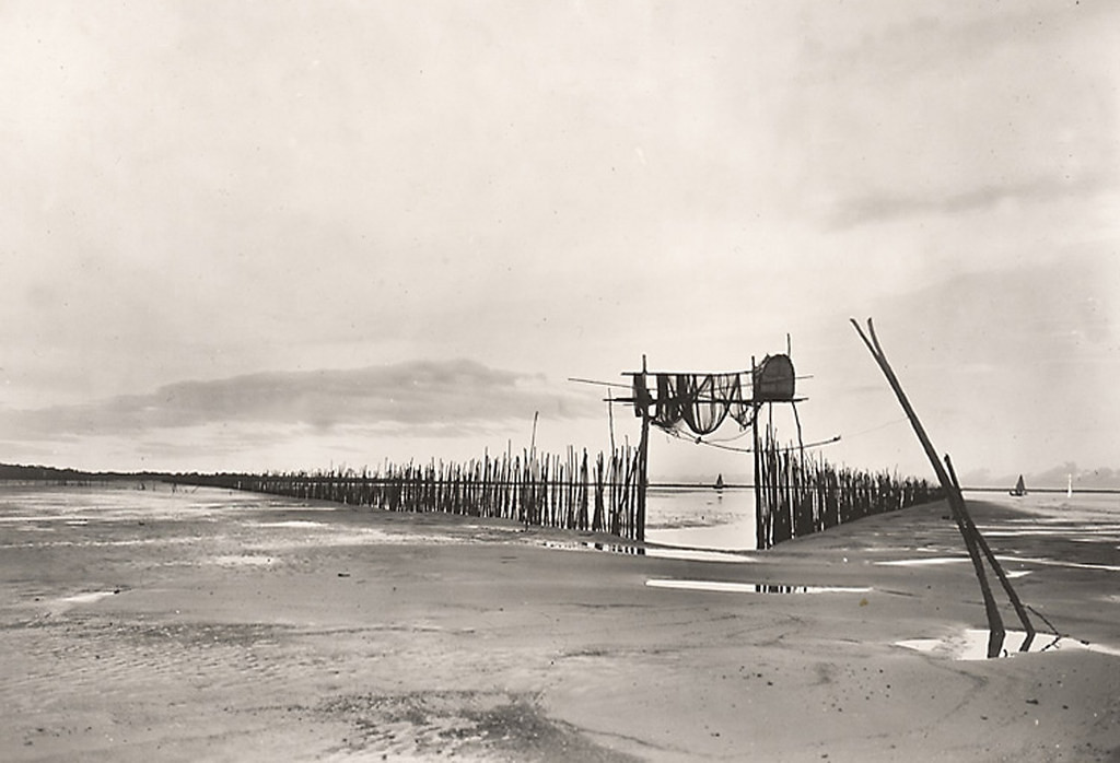 Toàn cảnh hệ thống rào lưới quây cá.