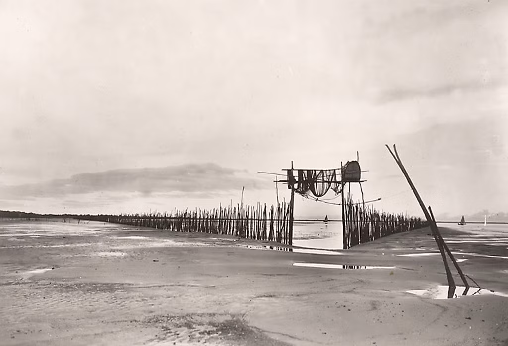 Toàn cảnh hệ thống rào lưới quây cá.