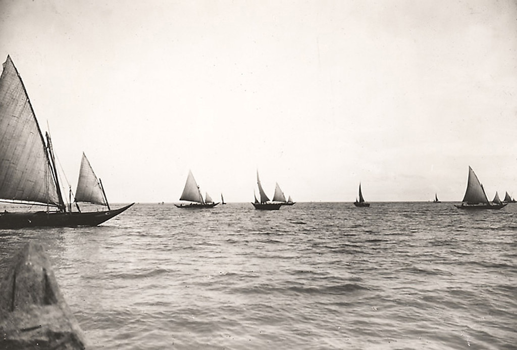 Đoàn thuyền đánh cá ở Cần Giờ.