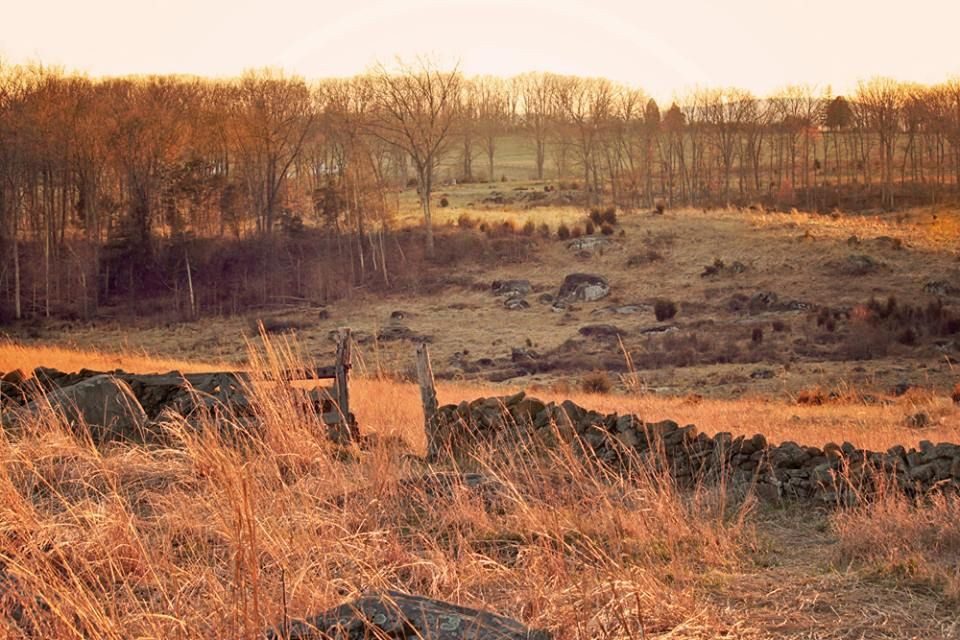 Mặc dù chỉ 15 chiến binh thiệt mạng bởi pháo, Puhirake quyết định không bắn trả để tướng Cameron tưởng rằng toàn bộ lực lượng trong pháo đài Gate Pa đã chết.