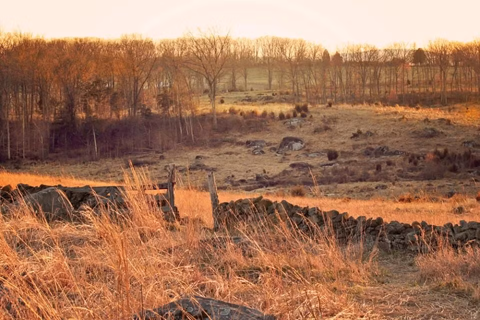 Mặc dù chỉ 15 chiến binh thiệt mạng bởi pháo, Puhirake quyết định không bắn trả để tướng Cameron tưởng rằng toàn bộ lực lượng trong pháo đài Gate Pa đã chết.