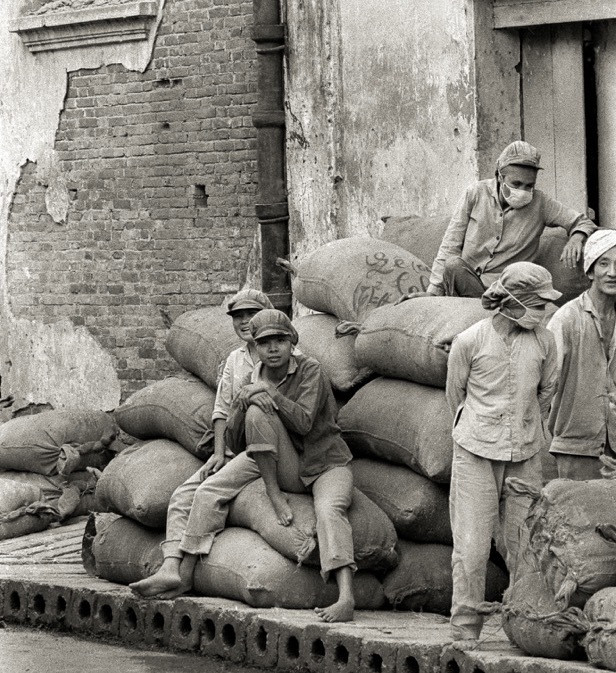 Các công nhân trẻ bên những bao tải gạo lớn tại một cơ sở xay xát gạo.