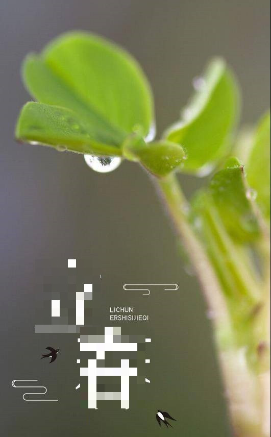 Dau xuan kieng ky nhung gi? 