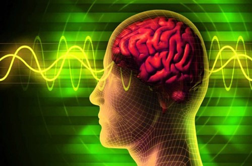  Thay đổi bộ não chúng ta. Một nghiên cứu năm 2011 đã chứng minh rằng Internet có thể thay đổi bộ não chúng ta. Bằng việc quét não của 125 sinh viên ở London, các nhà nghiên cứu nhận thấy có sự liên quan mật thiết giữa số lượng bạn bè trên Facebook của người đó với số lượng các vật chất đen trong những vùng cụ thể trên não, đó là những vùng chịu trách nhiệm ghi nhớ, giao tiếp xã hội và có thể khiến bạn tự kỷ.