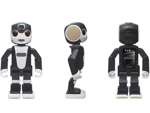 hú robot này cũng có đầu, cổ, thân, chân và tay như những robot bình thường.