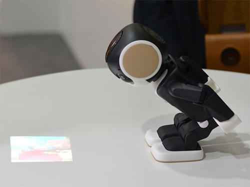 ược biết, RoBoHoN có khả năng nhận diện khuôn mặt và giọng nói của chủ nhân.