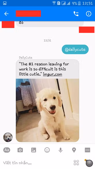  2. Gửi ảnh thú cưng Nhập đoạn mã @dailycute, Facebook sẽ gửi ngẫu nhiên bức ảnh của một con thú cưng xinh xắn nào đó để "thay lời muốn nói" của bạn đến người ấy. 