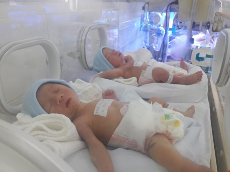 Cặp song sinh nhờ mang thai hộ kháu khỉnh vẫn đang được các bác sĩ chăm sóc. Ảnh: HÀ PHƯỢNG Cặp song sinh nhờ mang thai hộ kháu khỉnh vẫn đang được các bác sĩ chăm sóc. Ảnh: HÀ PHƯỢNG