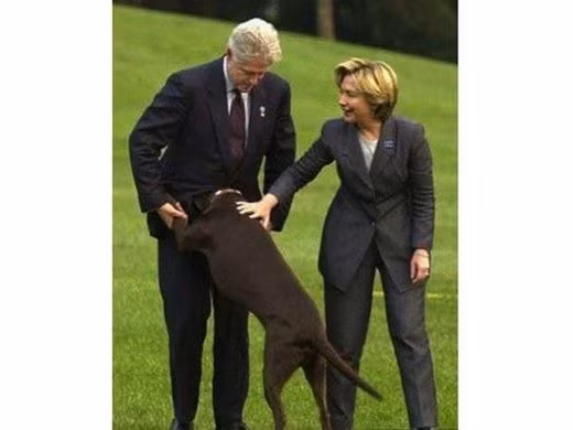 Khoảnh khắc "ngượng chín mặt" của cựu Tổng thống Bill Clinton bởi chú cún cưng.