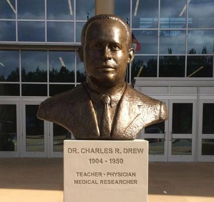 Charles Richard Drew - Nha khoa hoc khoi xuong ngan hang mau, cuu song trieu nguoi-Hinh-4