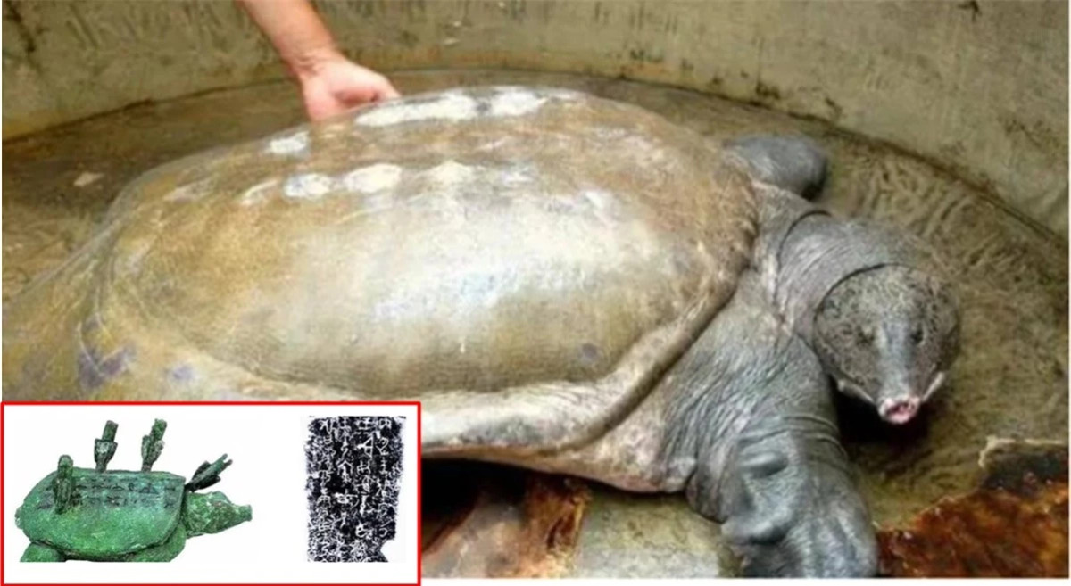 Di cau, ong lao bat duoc 