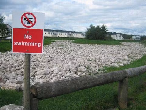 Hai bức ảnh "cấm bơi lội" thú vị nhất