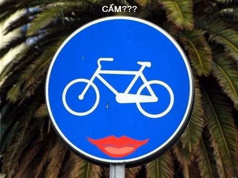 Biển cấm khó hiểu.