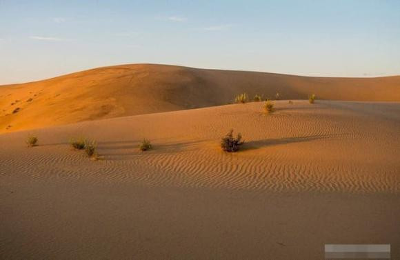 Sa mạc Chara có tất cả các đặc điểm của một sa mạc, với những đụn cát cao và những cơn bão bụi.