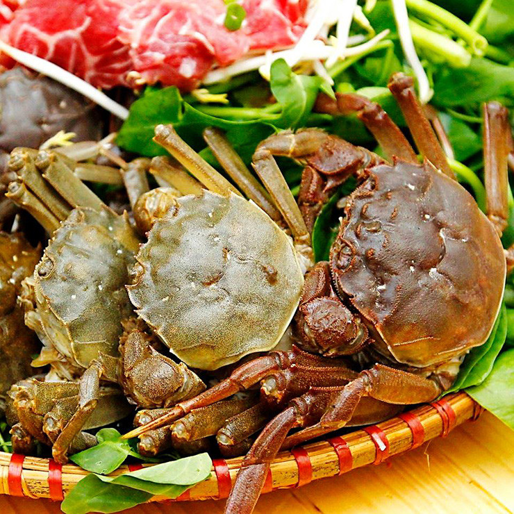 Chúng có vị ngọt thơm đặc trưng không giống như những loại cua ghẹ khác. Hương vị của nó cũng giống như cua dẹp